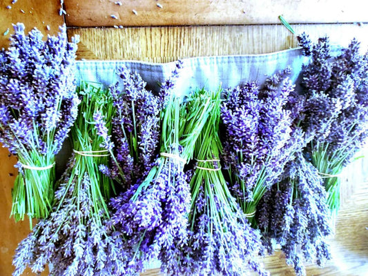 Everything You Need to Know About Baking With Lavender