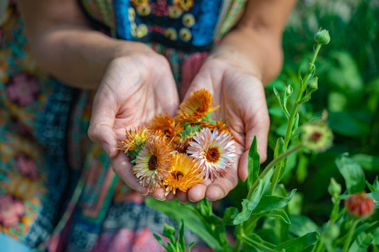 The Best Seasonal Flowers to Use in Baking and When to Harvest Them