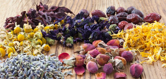 Baking with Lavender: A Guide to Infuse Delightful Floral Flavors