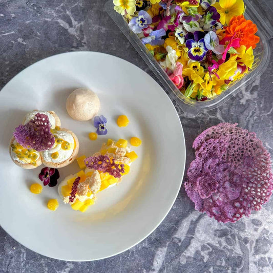 🎀 From Pantry to Pretty: Why Presentation Matters in Baking