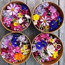 🌿 A Beginner’s Guide to Baking with Botanicals