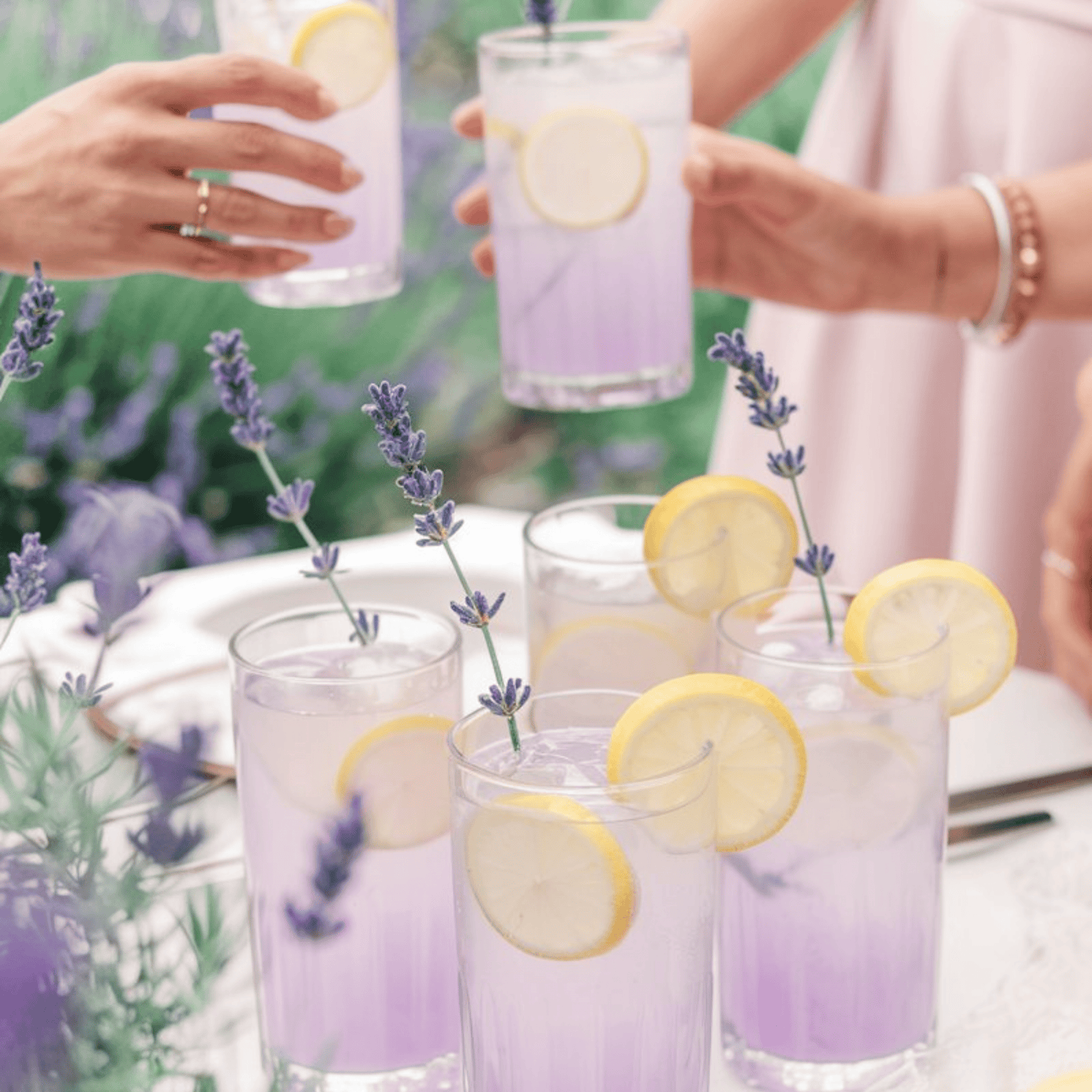 lavender lemonade Lavender Lemonade Wedding Favors (Packs of 25)