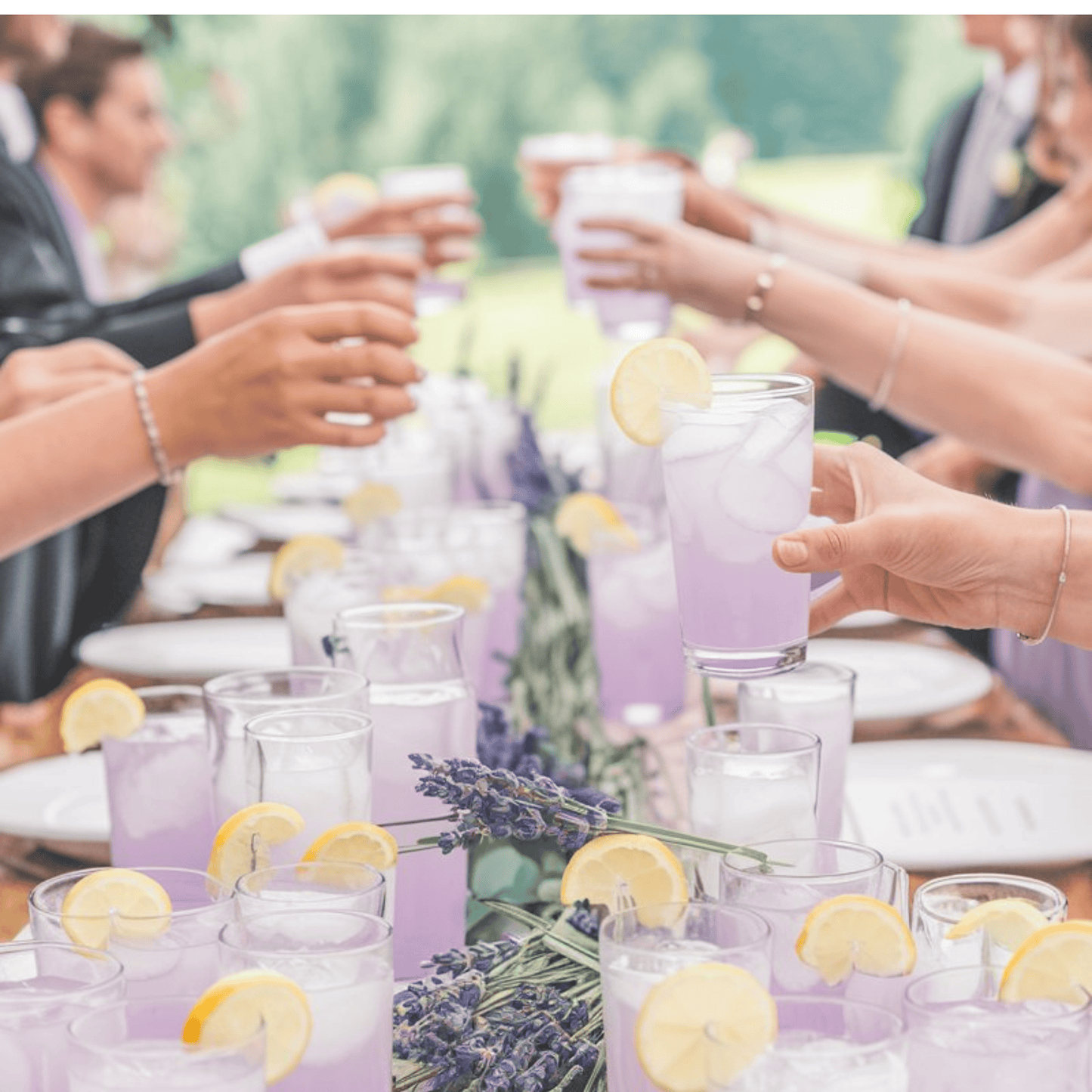 lavender lemonade Lavender Lemonade Wedding Favors (Packs of 25)