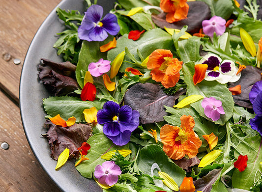 The Best Edible Flowers for Baking: A Guide to Flavor and Function