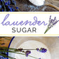 Lavender Sugar Lavender Sugar