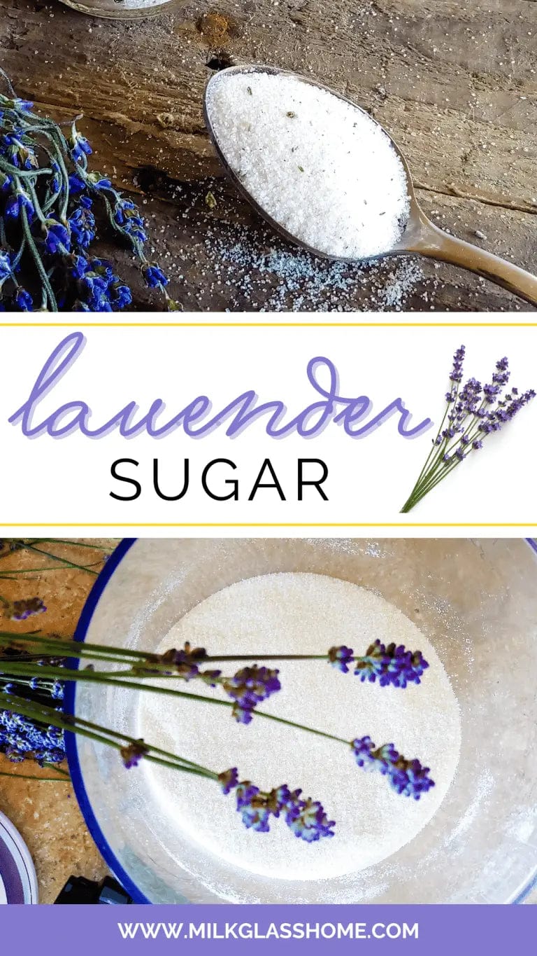 Lavender Sugar Lavender Sugar